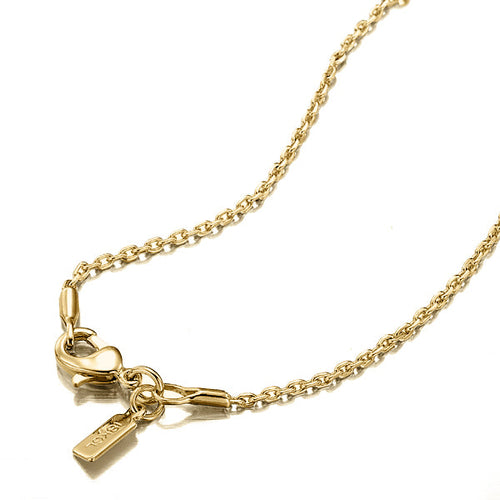 Republic Fine Anchor Chain Necklace